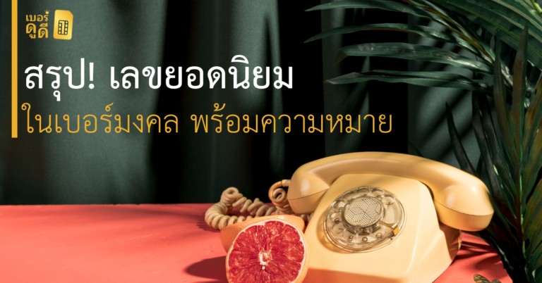 สรุป! เลขยอดนิยมในเบอร์มงคล พร้อมความหมาย